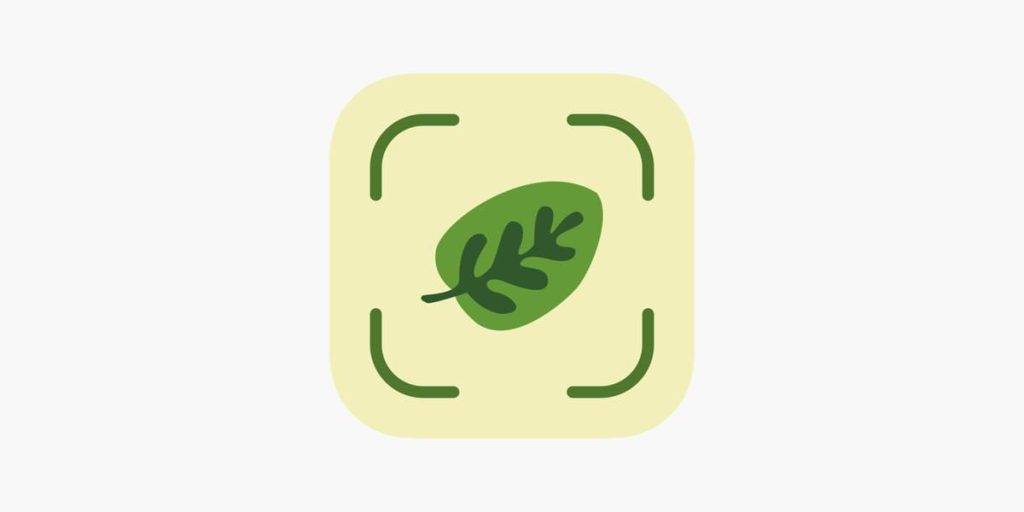 Leaf Identification-Applehub-心动论坛