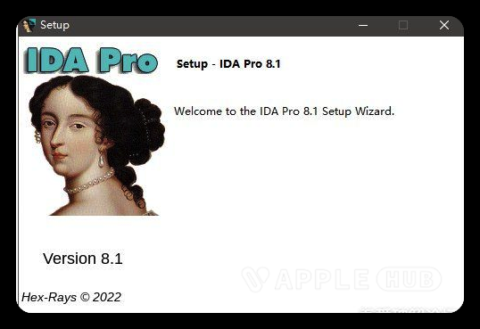 IDA Pro 8.1-Windows资源分享区论坛-PC资源区-Applehub-心动论坛